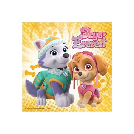 Puzzle patrula catelusilor m1 3x49 piese